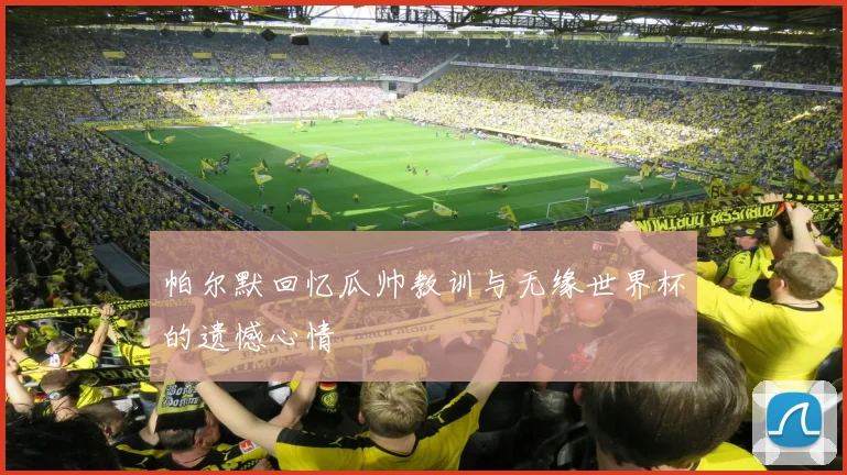 帕尔默回忆瓜帅教训与无缘世界杯的遗憾心情