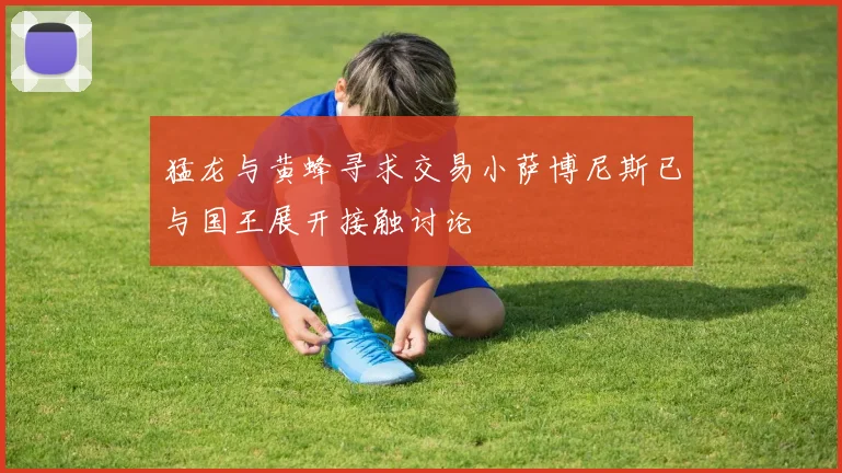 猛龙与黄蜂寻求交易小萨博尼斯已与国王展开接触讨论